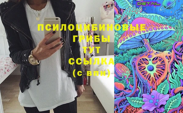СК Рославль