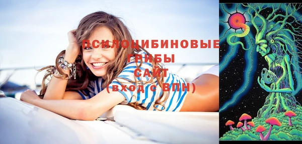 гидропоника Россошь
