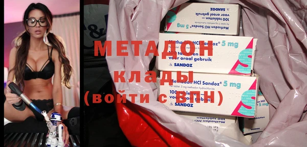 ГАЛЛЮЦИНОГЕННЫЕ ГРИБЫ Дубовка