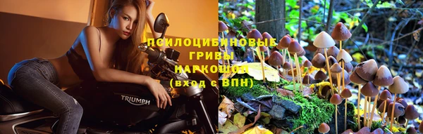 гидропоника Россошь