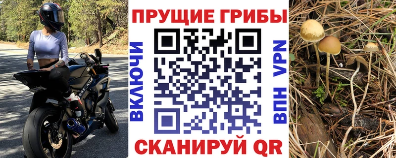 Галлюциногенные грибы мицелий  где можно купить   Эртиль 